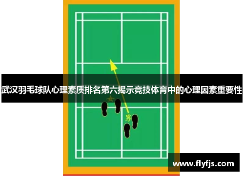武汉羽毛球队心理素质排名第六揭示竞技体育中的心理因素重要性