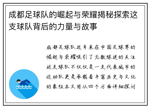 成都足球队的崛起与荣耀揭秘探索这支球队背后的力量与故事