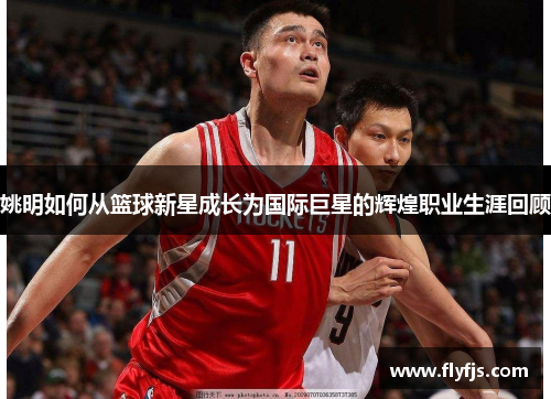 姚明如何从篮球新星成长为国际巨星的辉煌职业生涯回顾