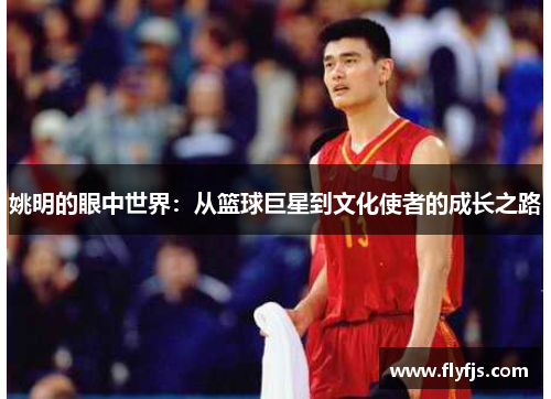 姚明的眼中世界：从篮球巨星到文化使者的成长之路