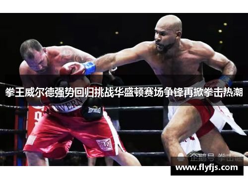 拳王威尔德强势回归挑战华盛顿赛场争锋再掀拳击热潮